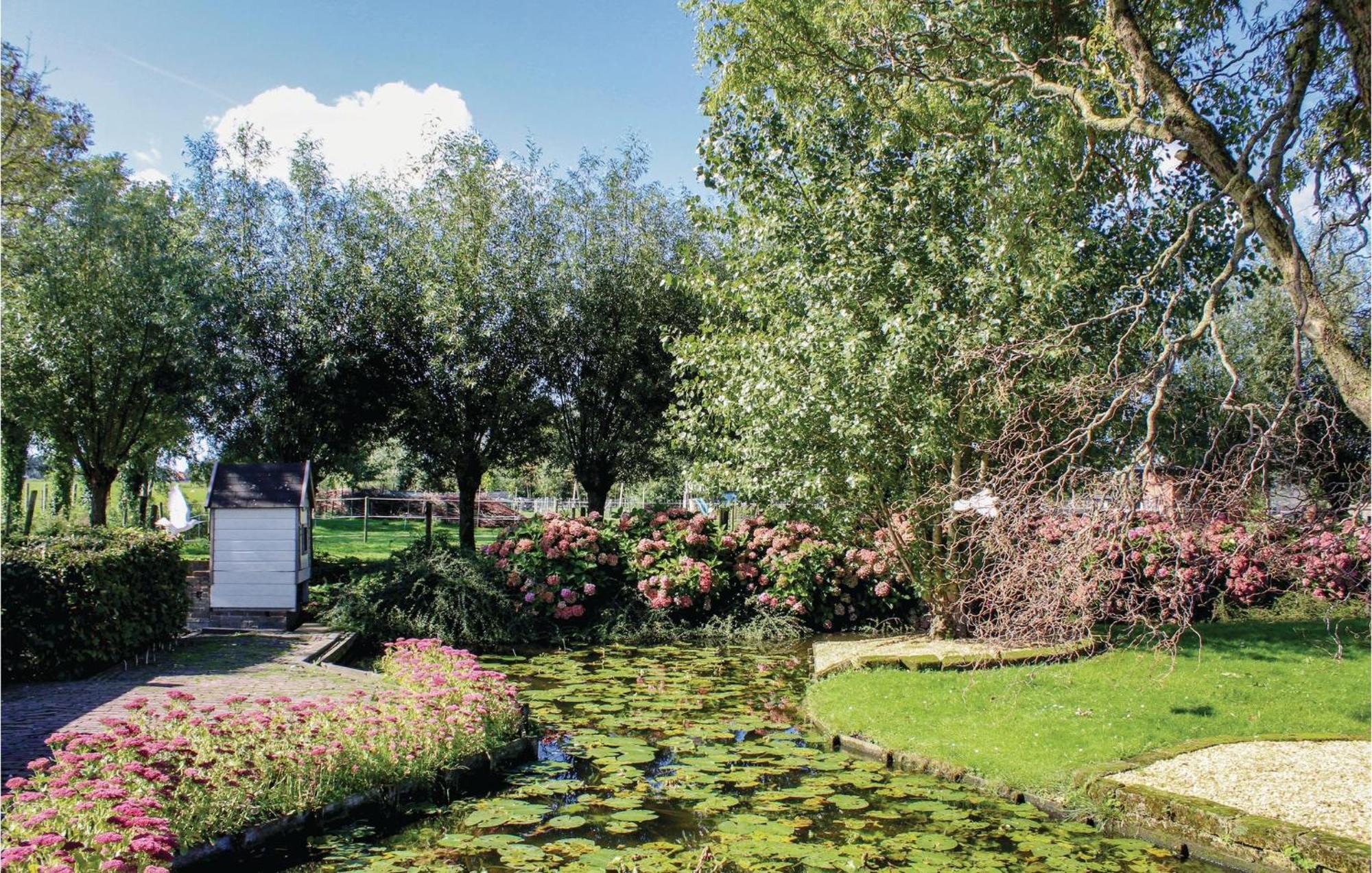 Hoeve Alegria Hoogwoud Εξωτερικό φωτογραφία